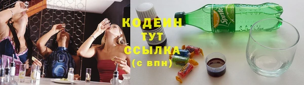мет Няндома