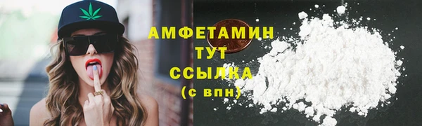 мет Няндома