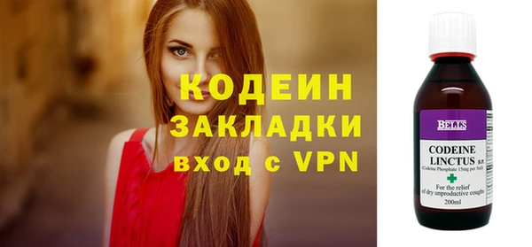 мет Няндома