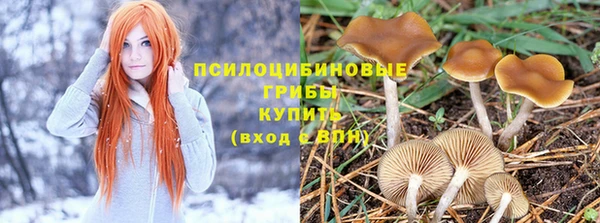 мет Няндома