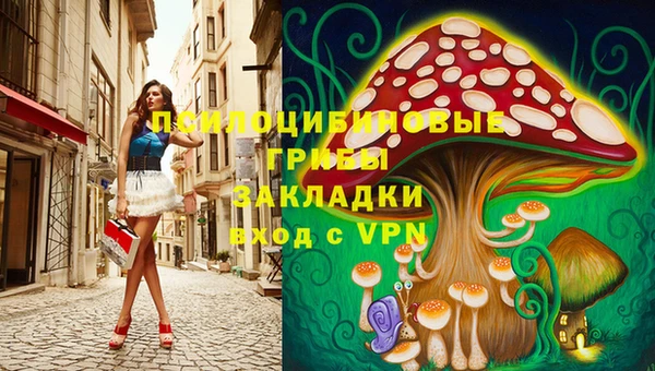 бошки Осинники