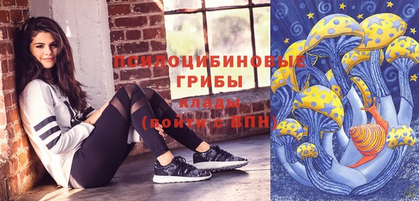 бошки Осинники